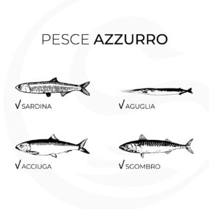 immagine pesci azzurri